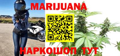сатива Будённовск
