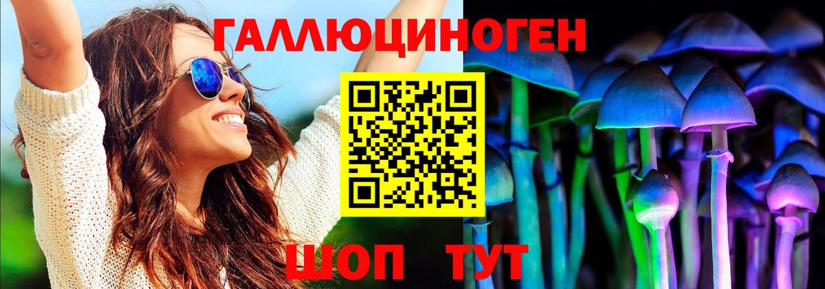 Псилоцибиновые грибы прущие грибы  Вход с VPN  Солнечногорск 